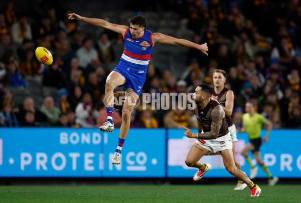 AFL 2025 Round 13 - Western Bulldogs v Hawthorn - A-59842063