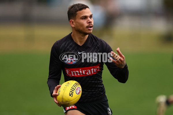AFL 2025 Training - Collingwood 060625 - A-59844326