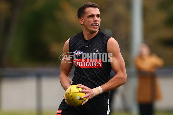 AFL 2025 Training - Collingwood 060625 - A-59844331
