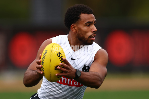 AFL 2025 Training - Collingwood 060625 - A-59844656