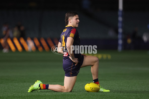AFL 2025 Round 13 - Adelaide v Brisbane - A-59846885