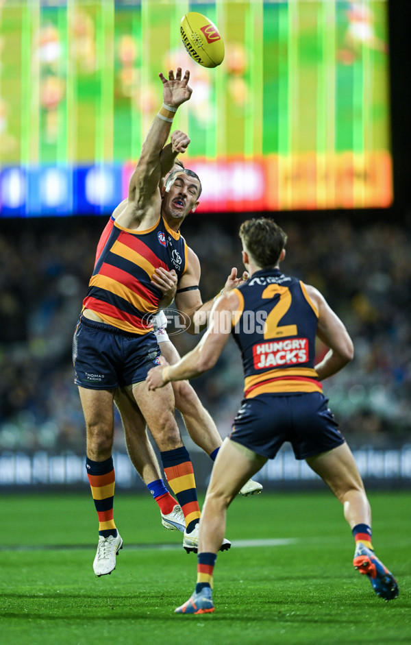 AFL 2025 Round 13 - Adelaide v Brisbane - A-59846905