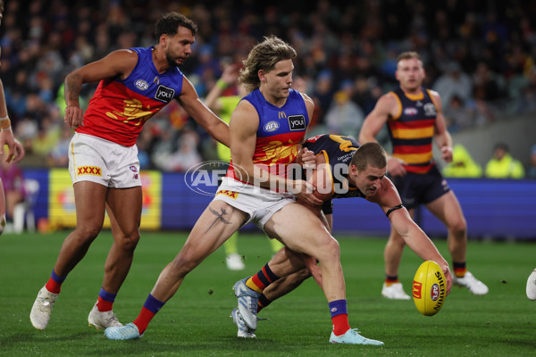 AFL 2025 Round 13 - Adelaide v Brisbane - A-59846909
