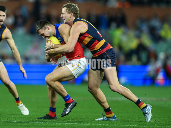AFL 2025 Round 13 - Adelaide v Brisbane - A-59846917