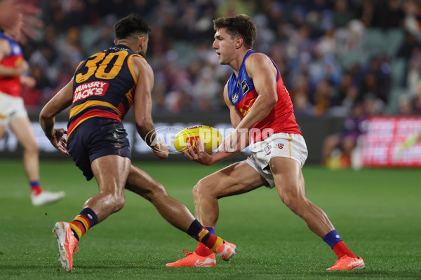 AFL 2025 Round 13 - Adelaide v Brisbane - A-59846943