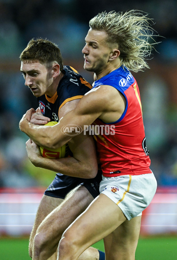 AFL 2025 Round 13 - Adelaide v Brisbane - A-59847705