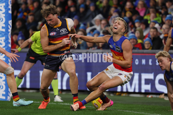 AFL 2025 Round 13 - Adelaide v Brisbane - A-59847714