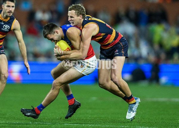 AFL 2025 Round 13 - Adelaide v Brisbane - A-59847725