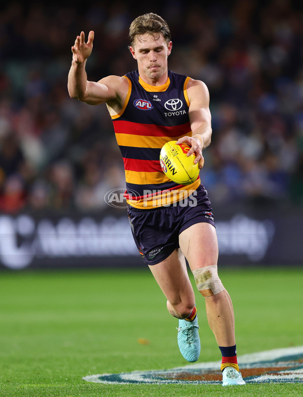 AFL 2025 Round 13 - Adelaide v Brisbane - A-59847743
