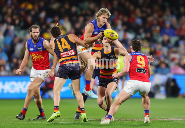 AFL 2025 Round 13 - Adelaide v Brisbane - A-59847748