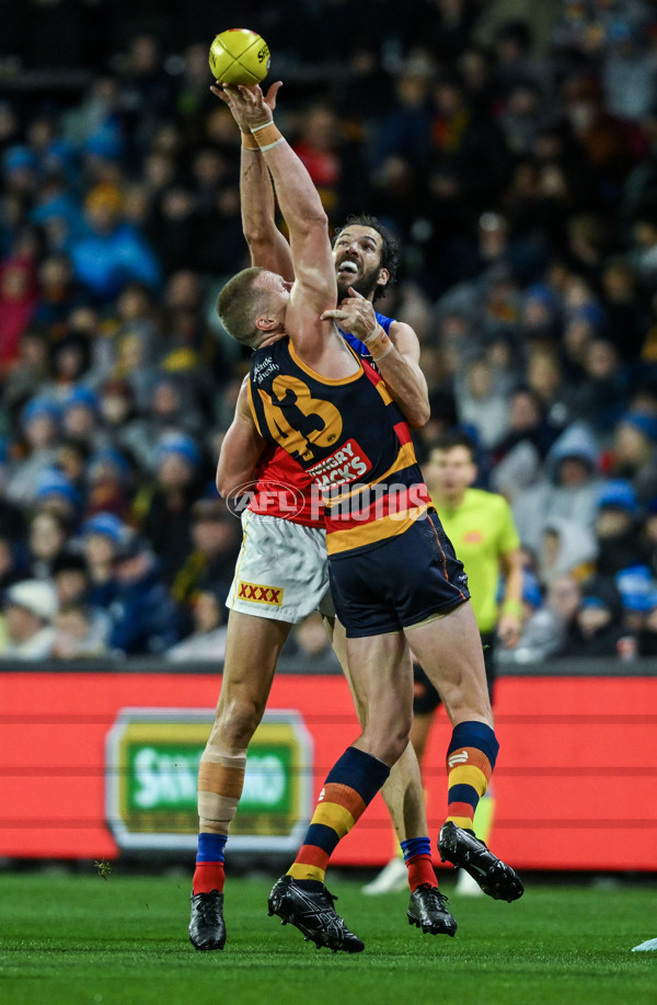 AFL 2025 Round 13 - Adelaide v Brisbane - A-59850384