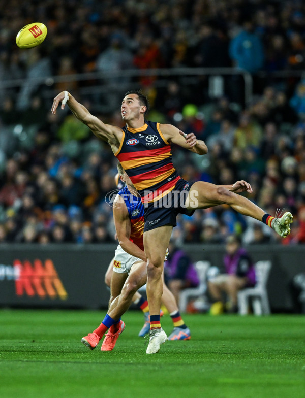 AFL 2025 Round 13 - Adelaide v Brisbane - A-59850387