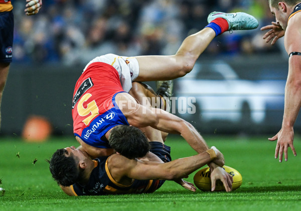 AFL 2025 Round 13 - Adelaide v Brisbane - A-59850393