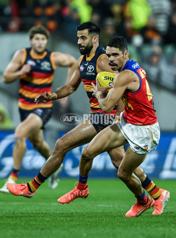 AFL 2025 Round 13 - Adelaide v Brisbane - A-59850404