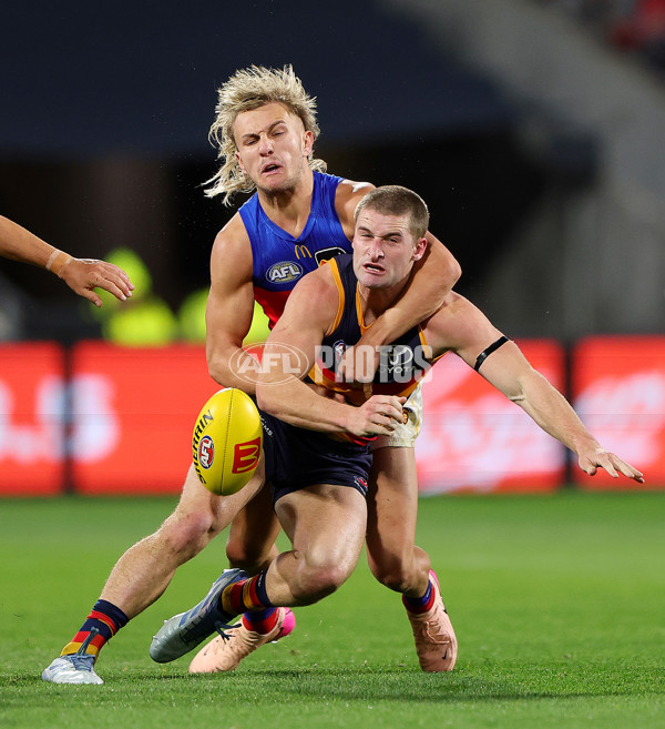 AFL 2025 Round 13 - Adelaide v Brisbane - A-59850416