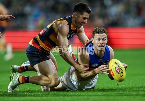 AFL 2025 Round 13 - Adelaide v Brisbane - A-59850456