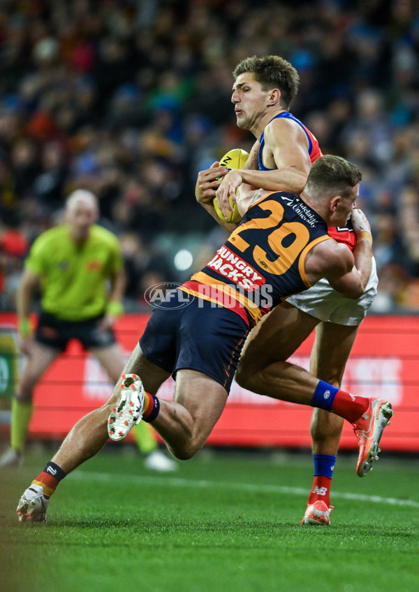 AFL 2025 Round 13 - Adelaide v Brisbane - A-59850467