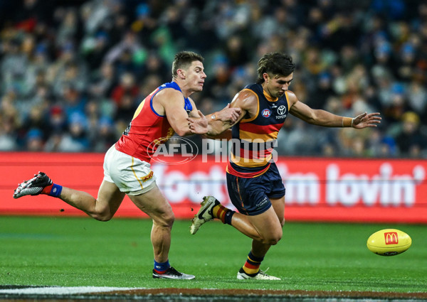 AFL 2025 Round 13 - Adelaide v Brisbane - A-59850580