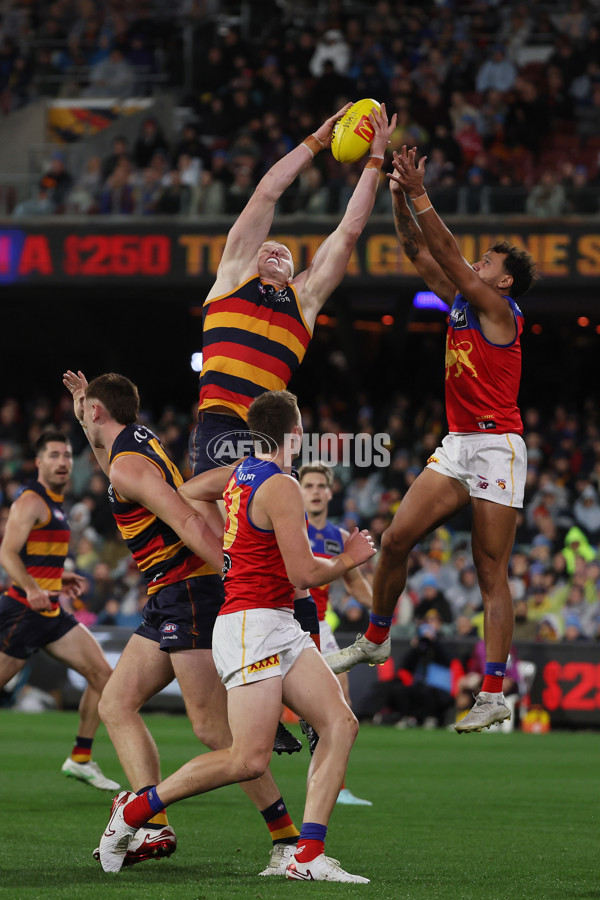 AFL 2025 Round 13 - Adelaide v Brisbane - A-59850595