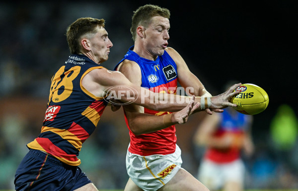 AFL 2025 Round 13 - Adelaide v Brisbane - A-59850609
