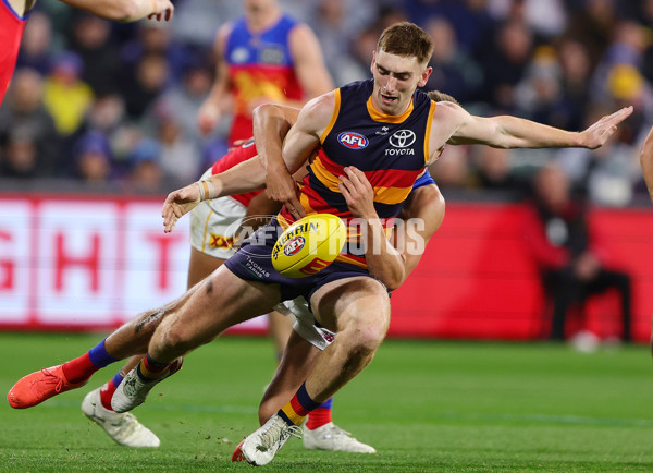 AFL 2025 Round 13 - Adelaide v Brisbane - A-59852805