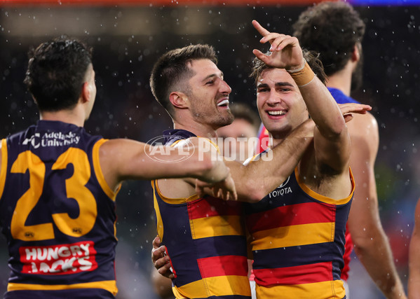 AFL 2025 Round 13 - Adelaide v Brisbane - A-59852810