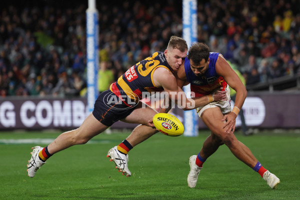 AFL 2025 Round 13 - Adelaide v Brisbane - A-59852820