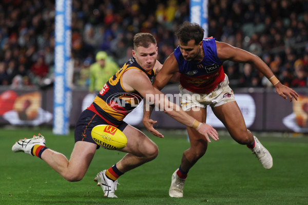 AFL 2025 Round 13 - Adelaide v Brisbane - A-59852821