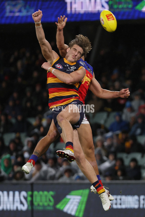 AFL 2025 Round 13 - Adelaide v Brisbane - A-59852824