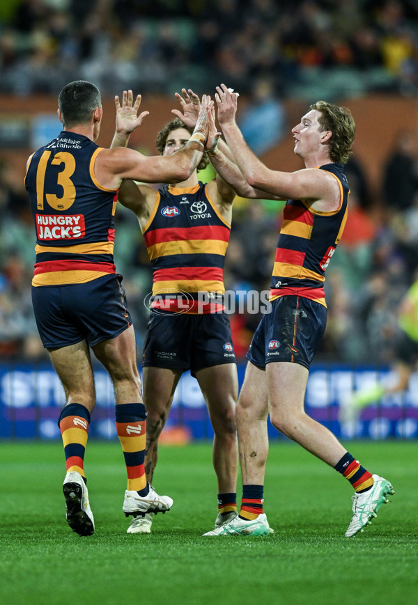 AFL 2025 Round 13 - Adelaide v Brisbane - A-59852826