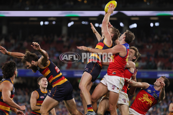 AFL 2025 Round 13 - Adelaide v Brisbane - A-59853536