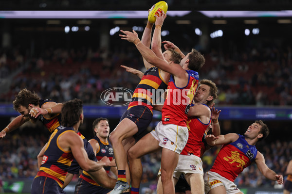 AFL 2025 Round 13 - Adelaide v Brisbane - A-59853537
