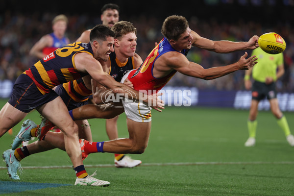 AFL 2025 Round 13 - Adelaide v Brisbane - A-59853559