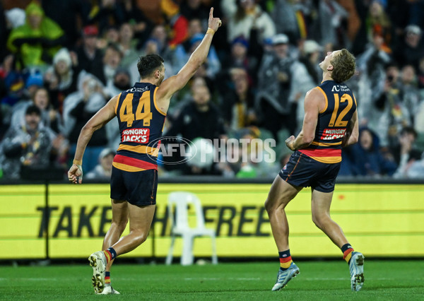 AFL 2025 Round 13 - Adelaide v Brisbane - A-59853568