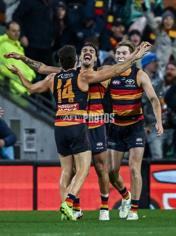 AFL 2025 Round 13 - Adelaide v Brisbane - A-59853587