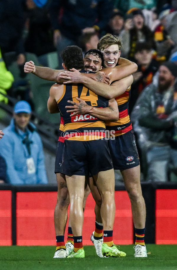 AFL 2025 Round 13 - Adelaide v Brisbane - A-59853591