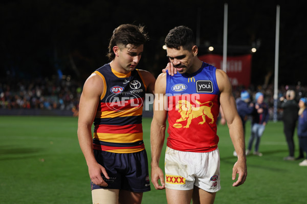 AFL 2025 Round 13 - Adelaide v Brisbane - A-59853608