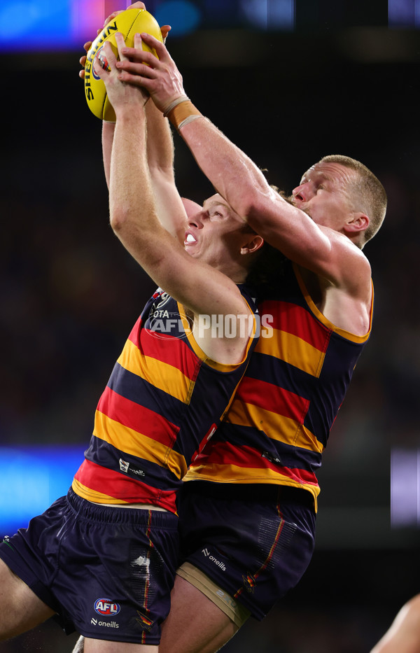 AFL 2025 Round 13 - Adelaide v Brisbane - A-59855651