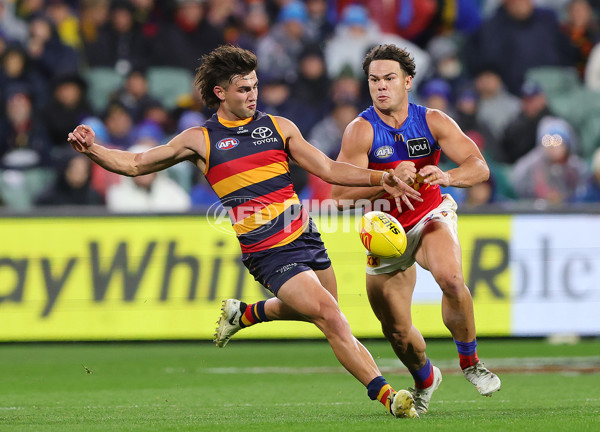 AFL 2025 Round 13 - Adelaide v Brisbane - A-59855668