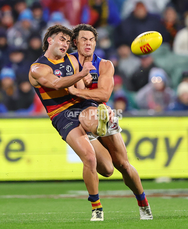 AFL 2025 Round 13 - Adelaide v Brisbane - A-59855671