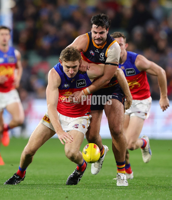 AFL 2025 Round 13 - Adelaide v Brisbane - A-59855675