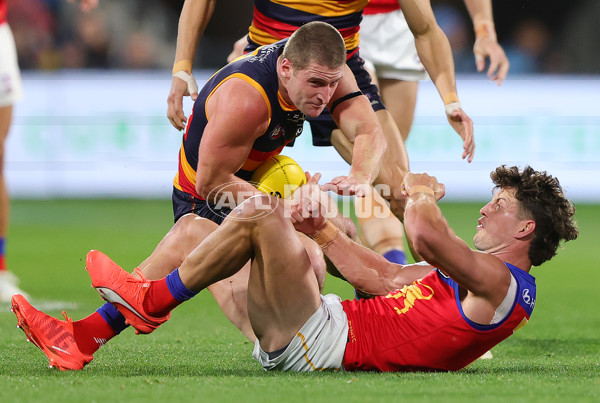 AFL 2025 Round 13 - Adelaide v Brisbane - A-59855681