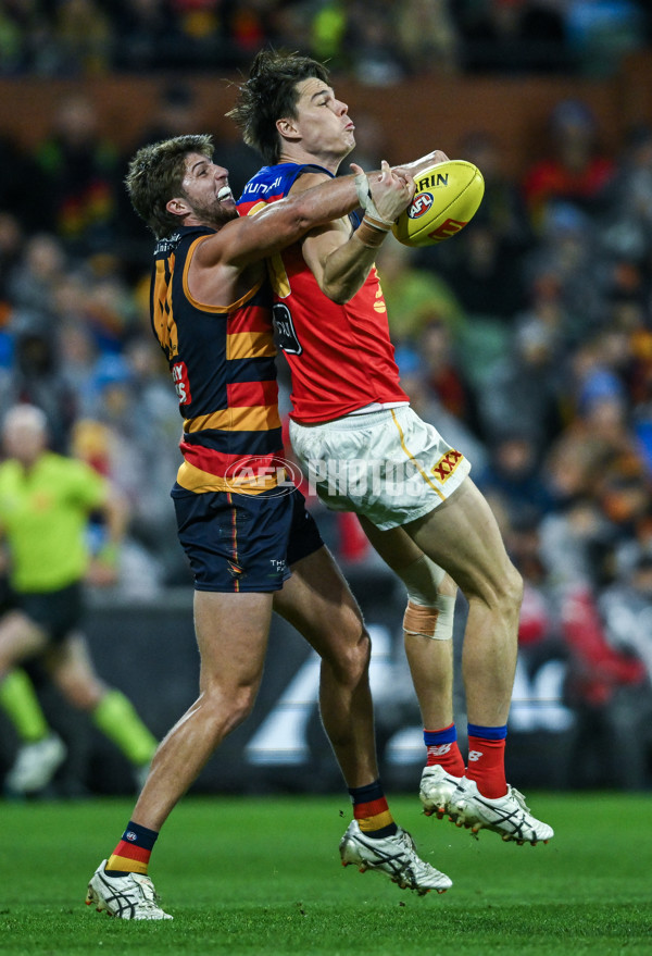 AFL 2025 Round 13 - Adelaide v Brisbane - A-59855685