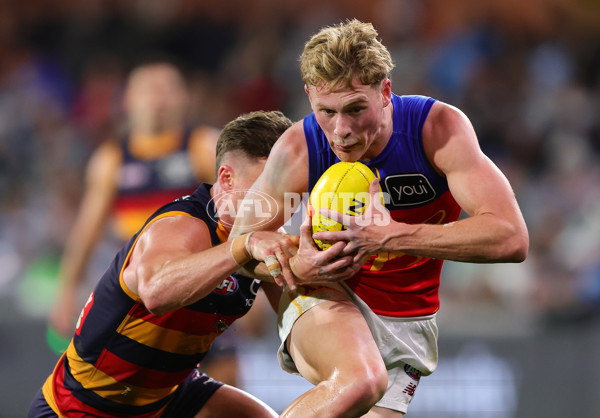 AFL 2025 Round 13 - Adelaide v Brisbane - A-59856461