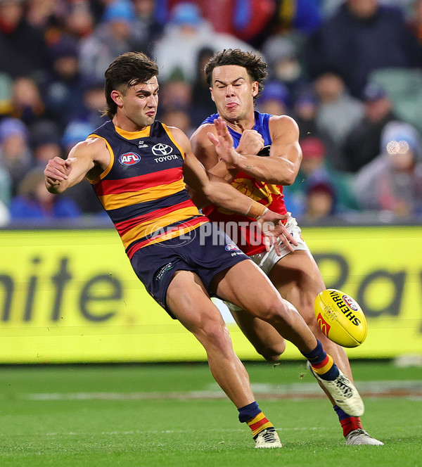 AFL 2025 Round 13 - Adelaide v Brisbane - A-59856467
