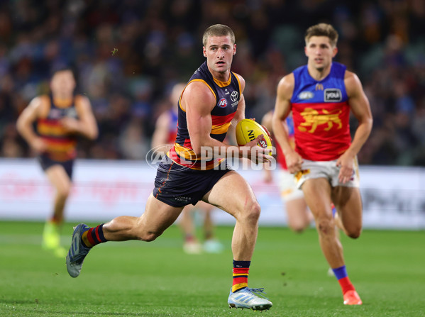 AFL 2025 Round 13 - Adelaide v Brisbane - A-59856470
