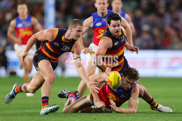 AFL 2025 Round 13 - Adelaide v Brisbane - A-59856473