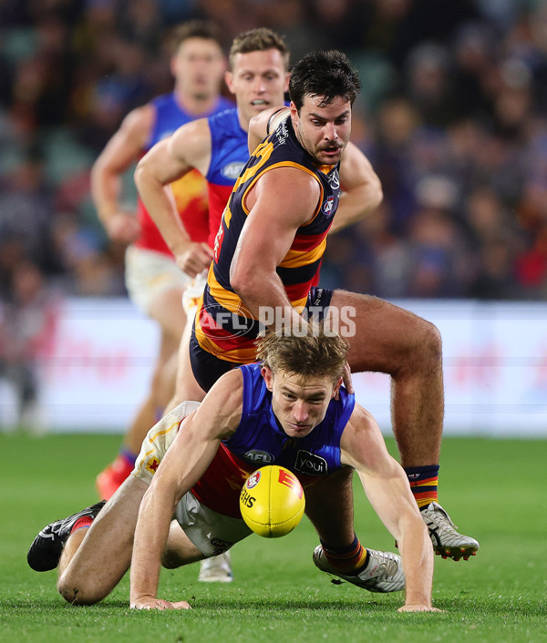 AFL 2025 Round 13 - Adelaide v Brisbane - A-59856476