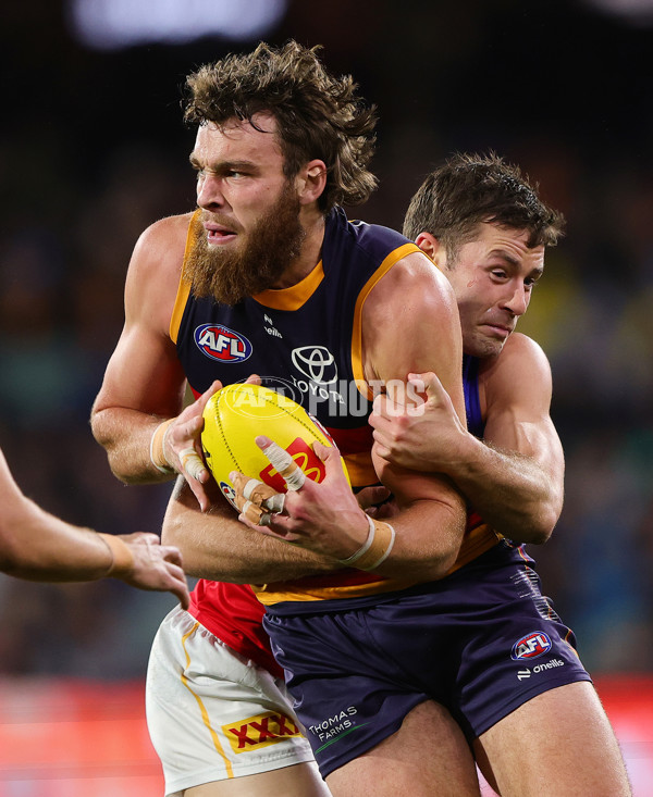 AFL 2025 Round 13 - Adelaide v Brisbane - A-59856482