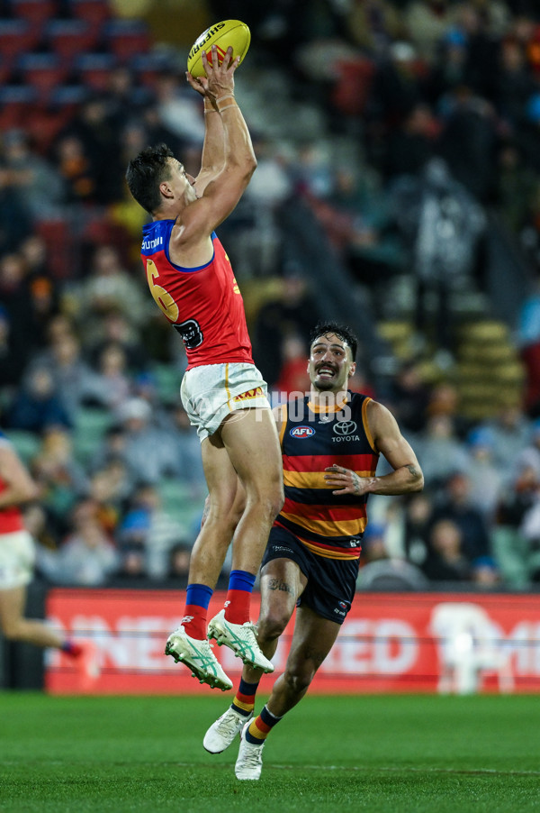 AFL 2025 Round 13 - Adelaide v Brisbane - A-59856491